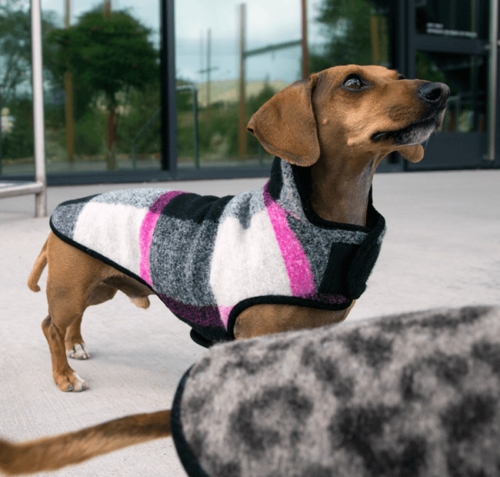 Phlox pink wool coat - Dachshund Fashionist
