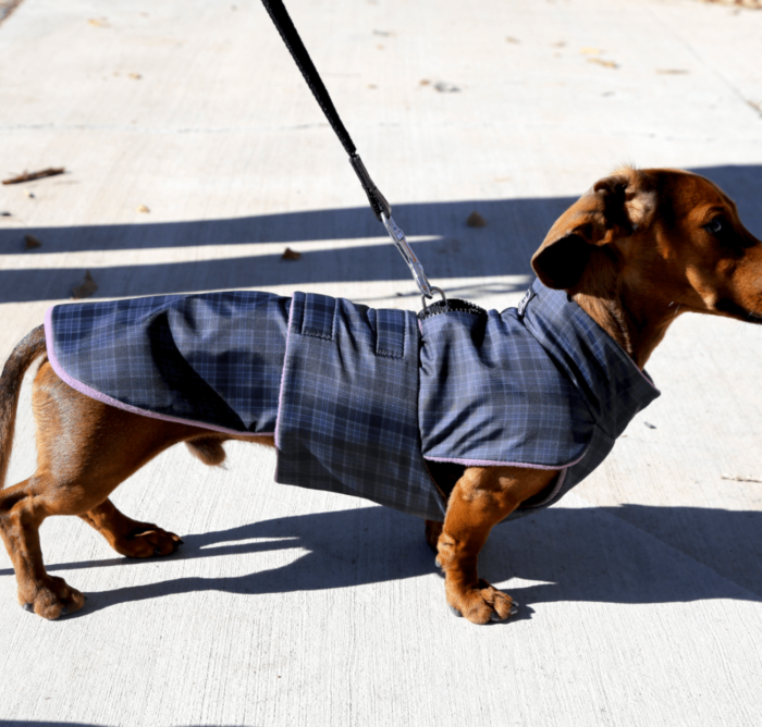 Grey Plaid Anorak with Lavender Fleece Lining - Image 4