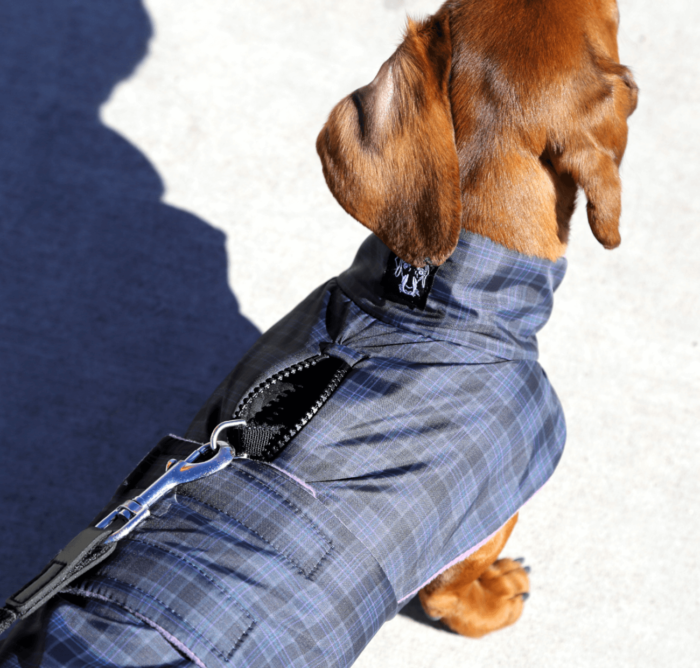 Grey Plaid Anorak with Lavender Fleece Lining - Image 2