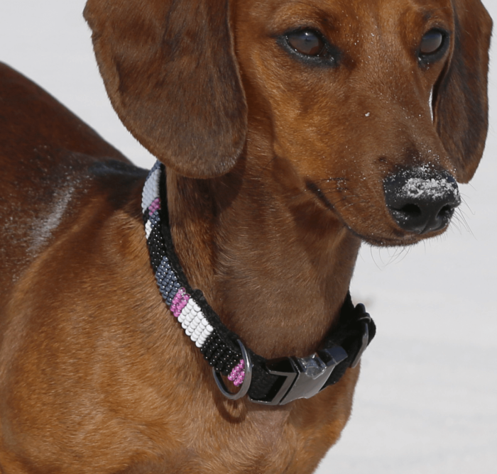 Black, White & Pink Hemp Collar