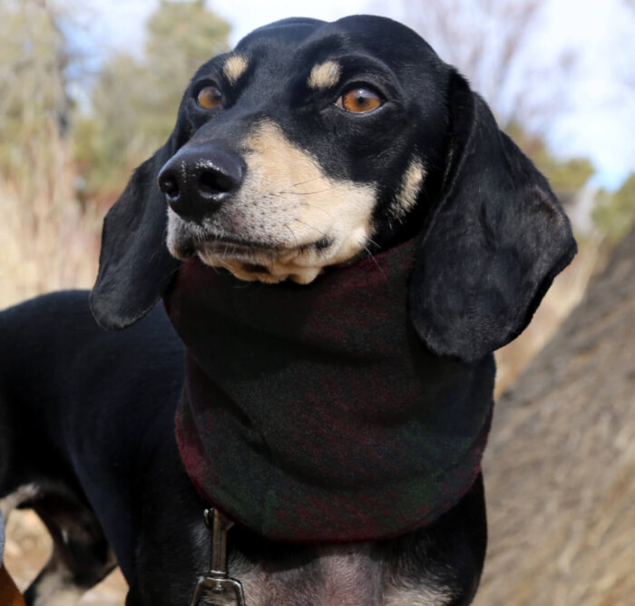 Snuggly Dark Plaid Fleece Snood