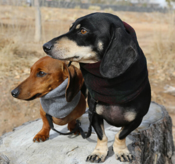 Snuggly Dark Plaid Fleece Snood - Image 2