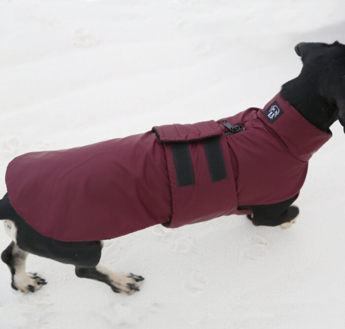 Red Ripstop Anorak - Dachshund Fashionista