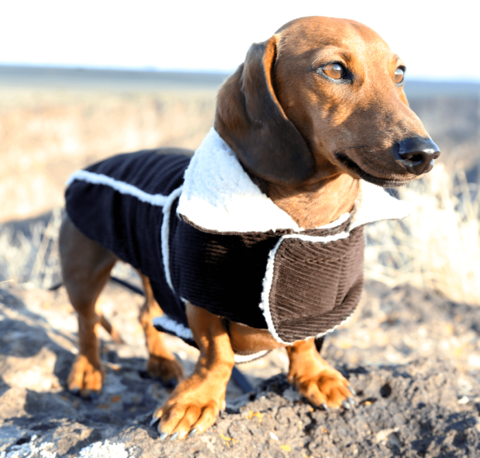 Brown Corduroy Jacket with Sherpa Fleece - Image 2