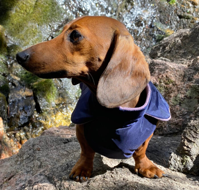 Navy Blue Anorak with Lavender Fleece - Image 2