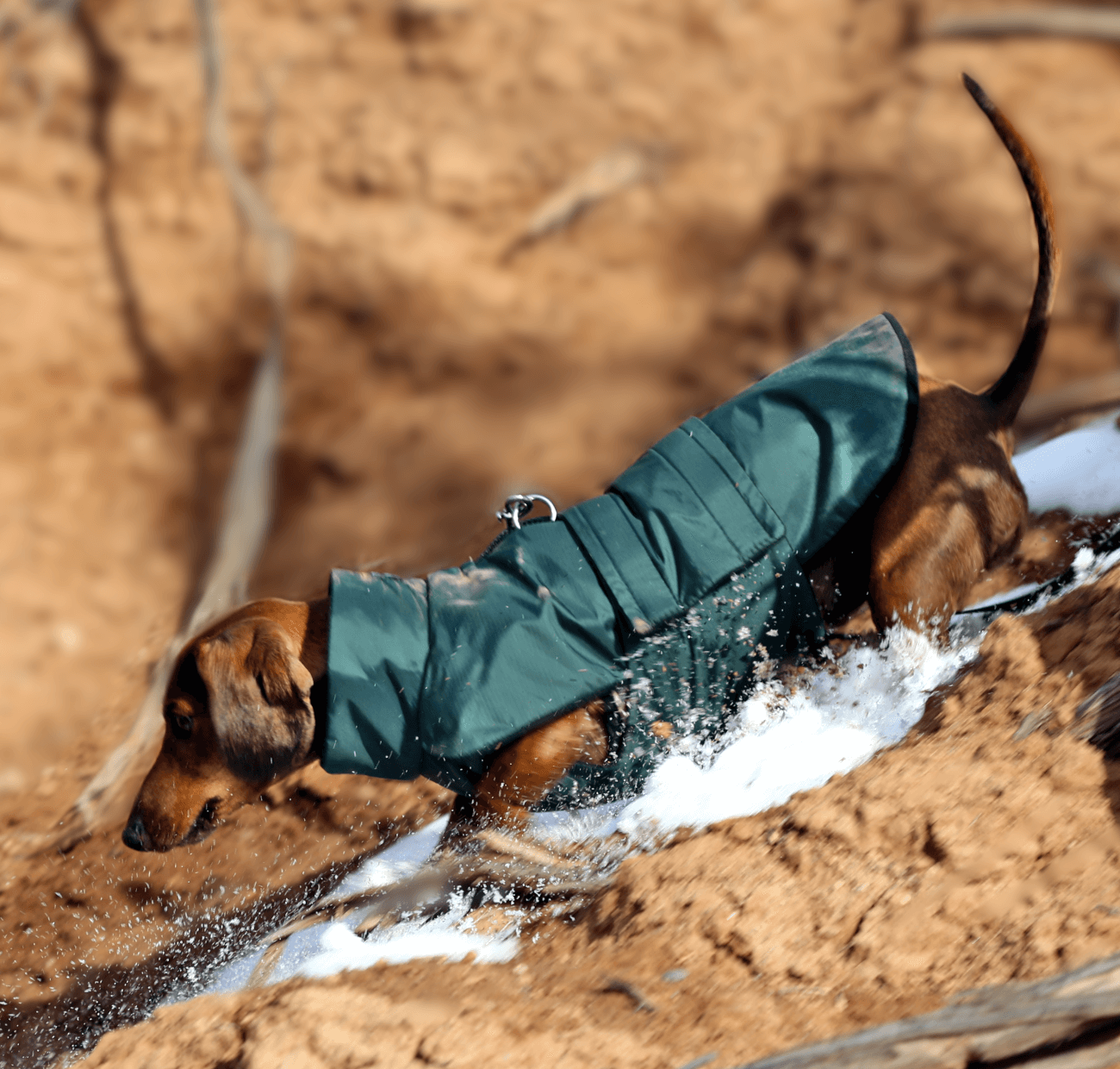 Green Anorak with Black Lining