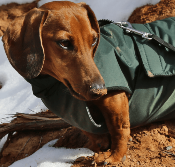 Green Anorak with Black Lining