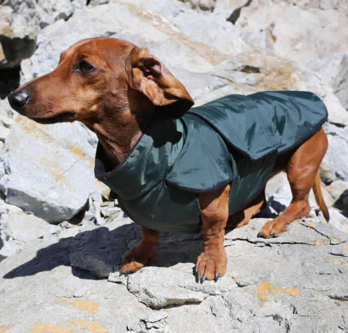 Green Anorak with Black Fleece - Image 3