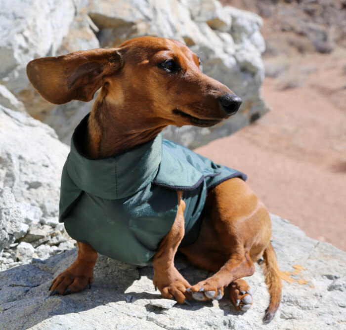 Green Anorak with Black Lining