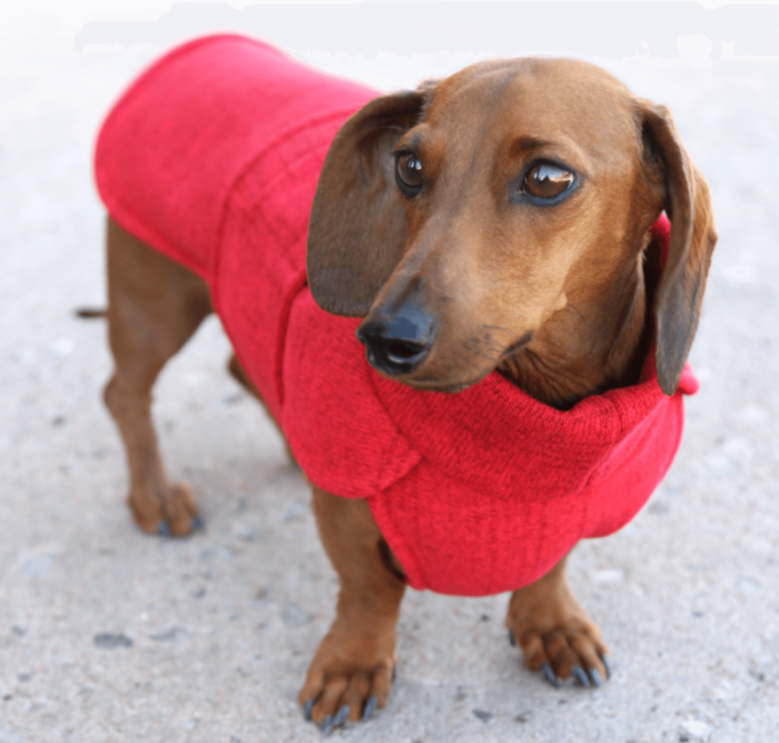 Red Sweater Fleece Wrap