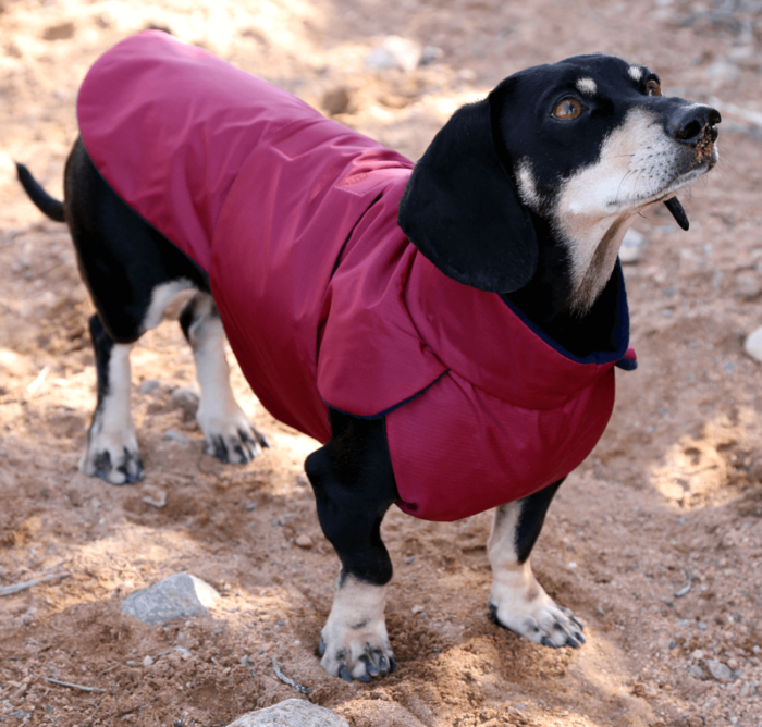 Very Berry Anorak