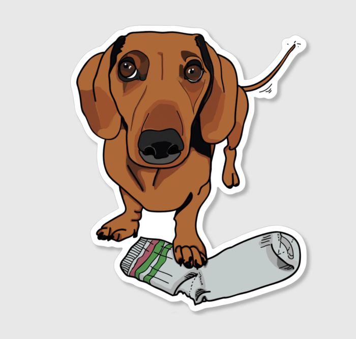 Brown/Red: Foxy Doxie - Sticker