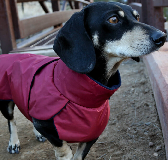 Very Berry Anorak - Image 4