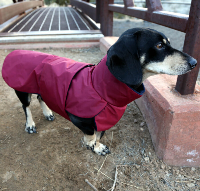 Very Berry Anorak - Image 2