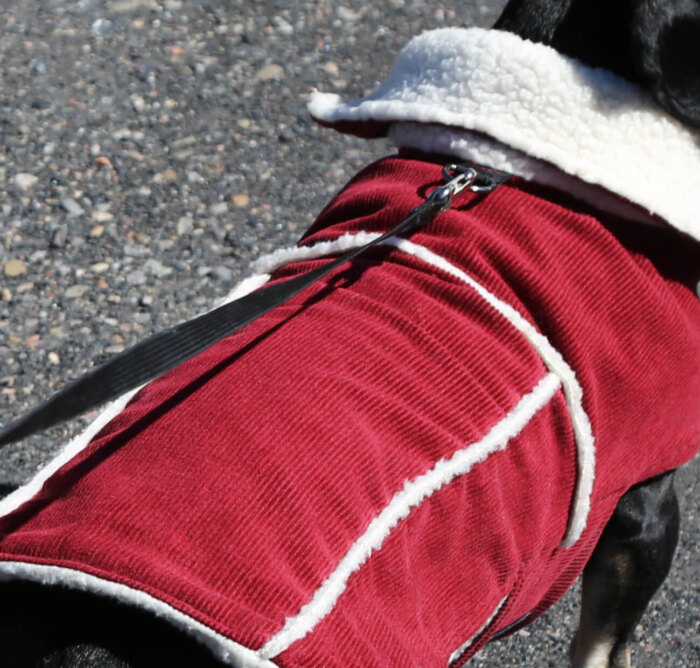 Red Corduroy Jacket with Sherpa Fleece - Image 7