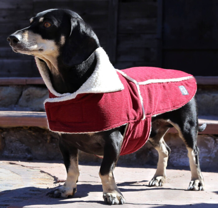 Red Corduroy Jacket with Sherpa Fleece - Image 3