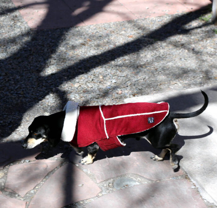 Red Corduroy Jacket with Sherpa Fleece - Image 5