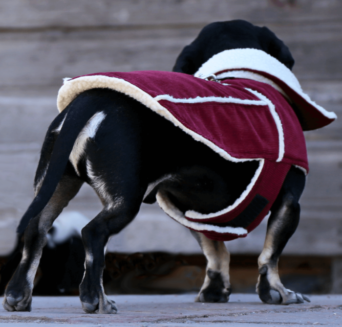 Red Corduroy Jacket with Sherpa Fleece - Image 4