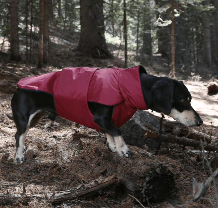 Very Berry Anorak - Image 5