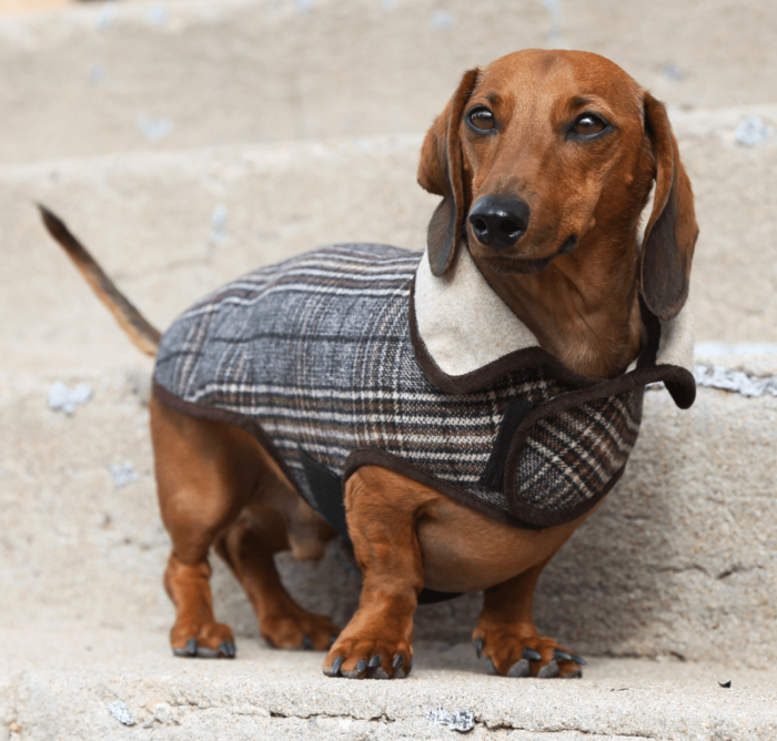 Brown & Black Plaid Wool Coat - Image 5