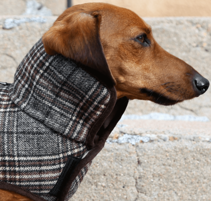 Brown & Black Plaid Wool Coat - Image 4