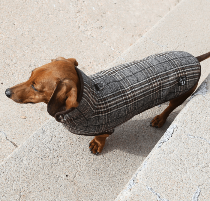 Brown & Black Plaid Wool Coat