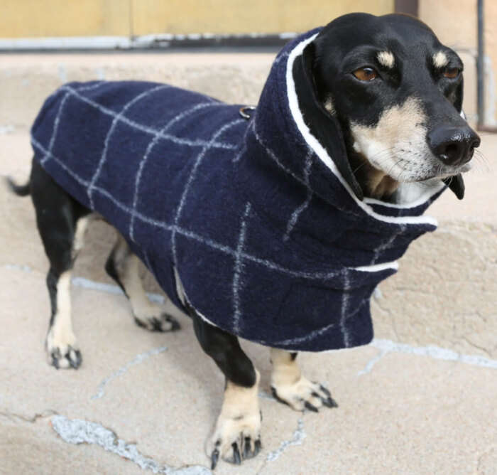 Navy Windowpane Wool Coat Cocoon