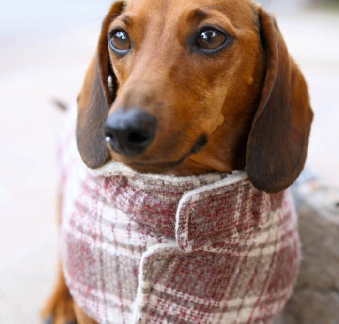 Brick Red Plaid Wool Coat