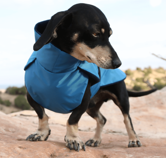 Blue Ripstop Anorak Dachshund Fashionista