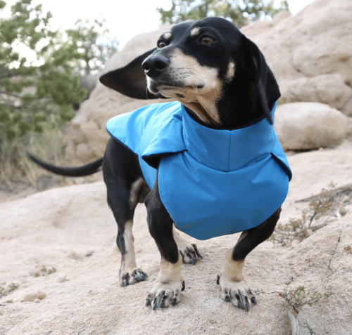 Blue Ripstop Anorak Dachshund Fashionista