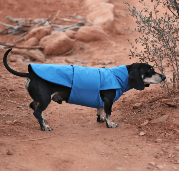 Blue Ripstop Anorak Dachshund Fashionista