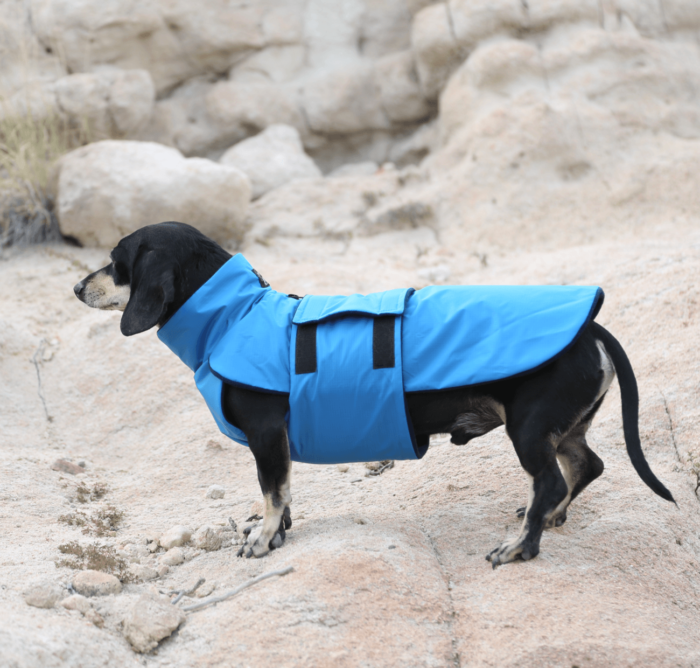 Blue Ripstop Anorak Dachshund Fashionista