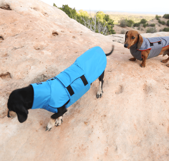 Blue Ripstop Anorak Dachshund Fashionista