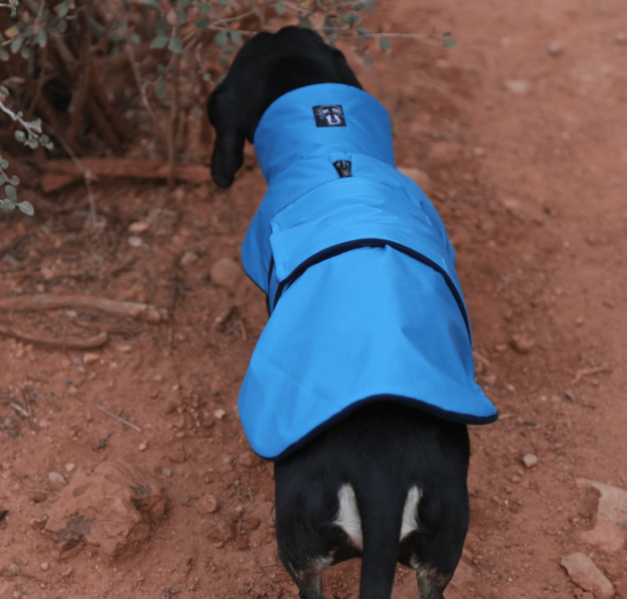 Blue Ripstop Anorak Dachshund Fashionista