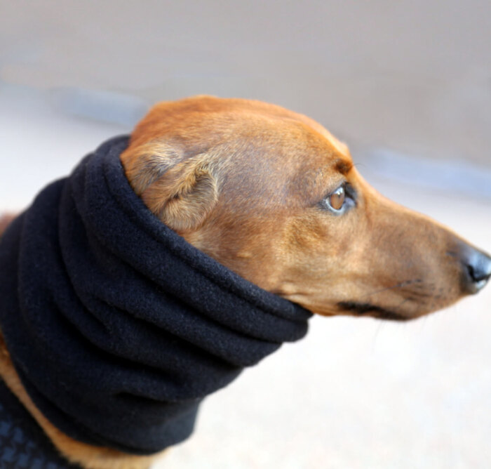 Black Fleece Snood - Image 2