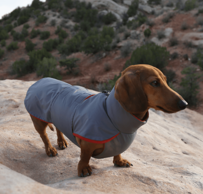 Grey Anorak with Red Fleece - Image 2