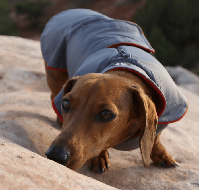 Grey Anorak with Red Fleece - Image 5