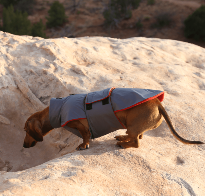 Grey Anorak with Red Fleece - Image 4