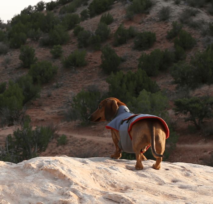 Grey Anorak with Red Fleece - Image 3