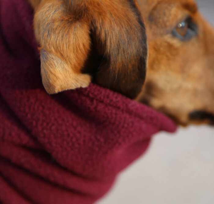 Burgundy Fleece Snood - Image 4