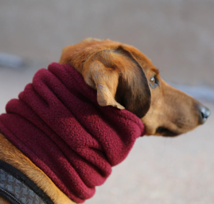 Burgundy Fleece Snood - Image 2