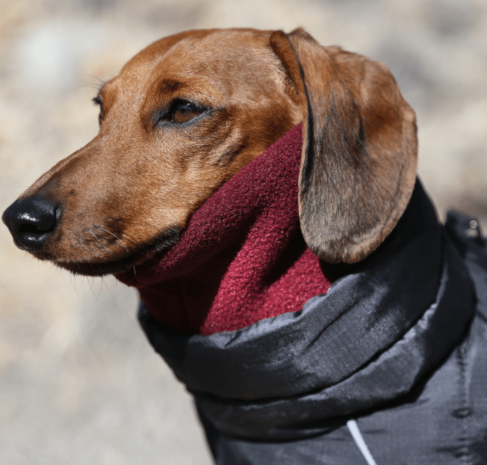 Burgundy Fleece Snood - Image 3