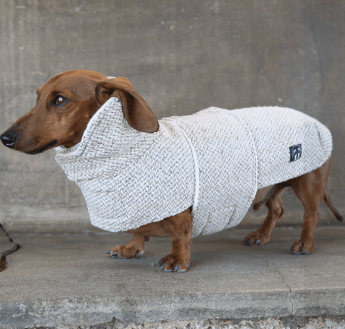 Weenie Warmer Wool Coat for dachshunds