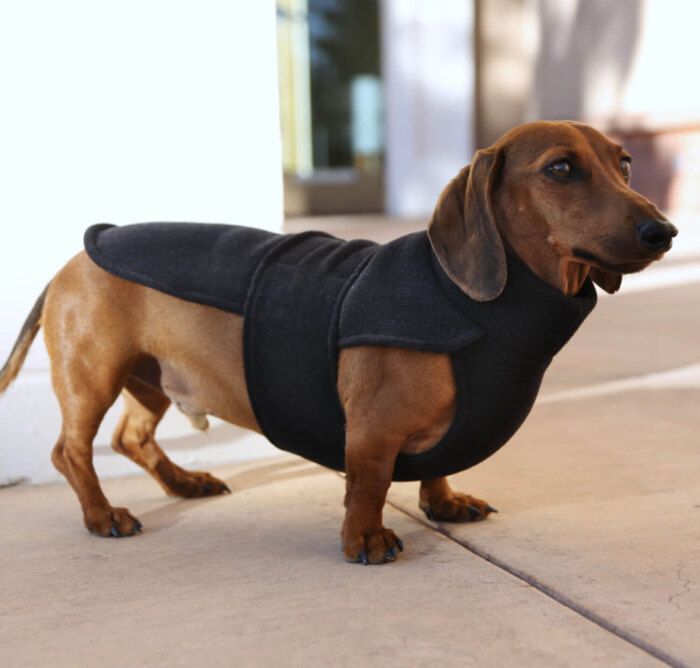 Black sweater fleece wrap for dachshunds