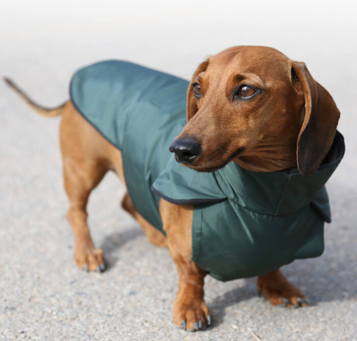 Green and black anorak