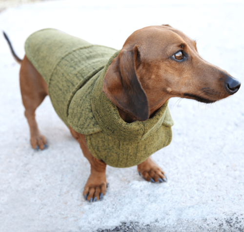 Green Sweater Fleece Wrap