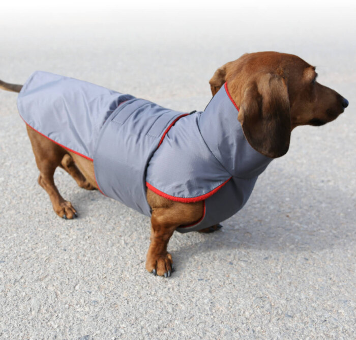 Grey Anorak with Red Fleece