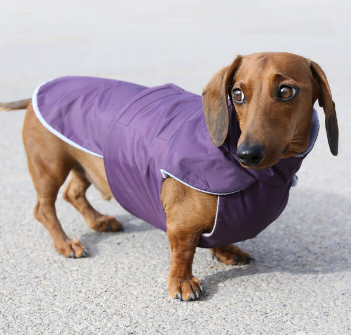 Purple Anorak with Periwinkle Fleece