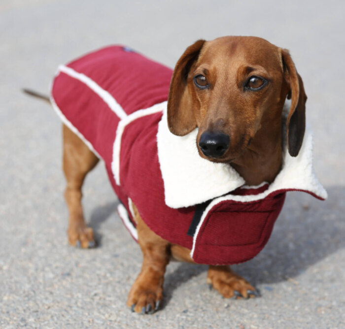 Red Corduroy Jacket with Sherpa Fleece