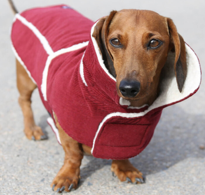 Red Corduroy Jacket with Sherpa Fleece - Image 2